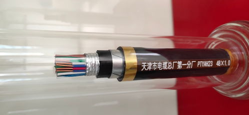 PTYA 48芯鐵路信號電纜 鐵路通信的“神經中樞”